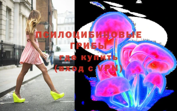 тгк Аркадак